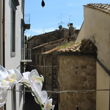 Dimora De' Canulei Больсена